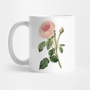 Pink Rose Flower Vintage Botanical Illustration Mug